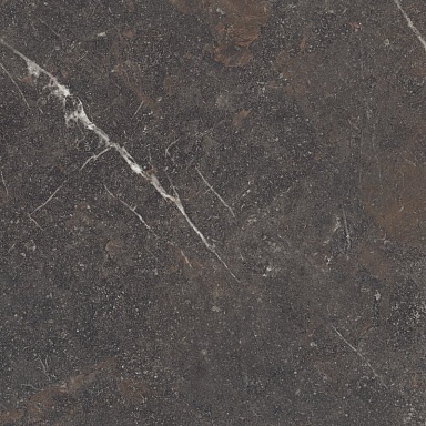 Керамогранит Peronda 42819 Royal Brown/100X100X0,8/A/R 100x100
