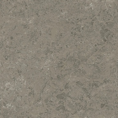 Керамогранит Atlas Concorde Italy AJIF Marvel Meraviglia Grigio Elegante Lapp. 120x120
