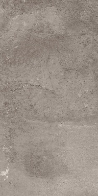 Керамогранит Estima EE03 Seed Grey Неполированный 30,6x60,9x8