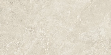 Керамогранит Baldocer Canyon Bone Rect 60x120