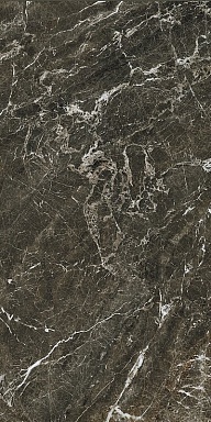 Керамогранит Serenissima Cir St.Laurent Tabac Silk Rett 60x120