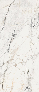 Керамогранит La Faenza AE PAO6 278 LP 120x278