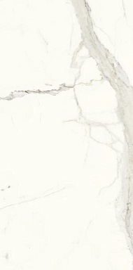 Керамогранит Ariostea PL612527 Bianco Calacata Luc 120x60