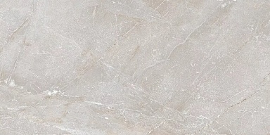 Керамогранит Art Ceramic Stonico Oyster Grey Glossy 60x120