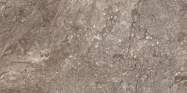 Керамогранит Leopard 6405 Stone Grey Polished 60x120