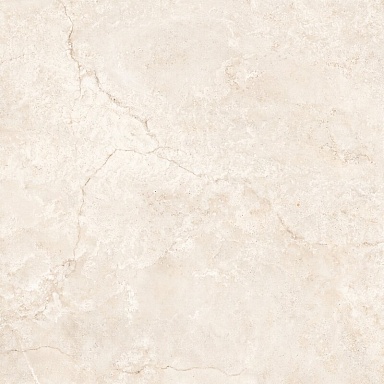 Керамогранит Ecoceramic Bruma Bone Polimat 119.8x119.8