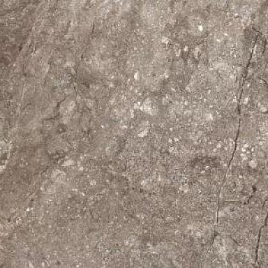 Stone Leopard