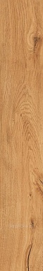Керамогранит Rondine Group Feelwood Cognac 24x150
