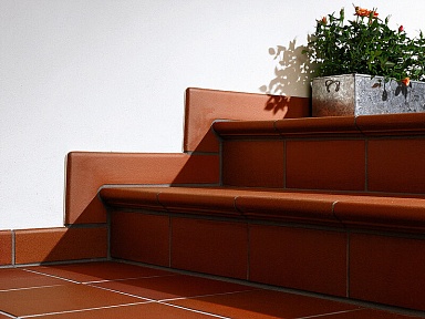 Ступень Agrob Buchtal Goldline 9330 856 25x35