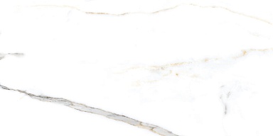 Керамогранит NT Ceramic NTT99500P Miami Natural 60x120