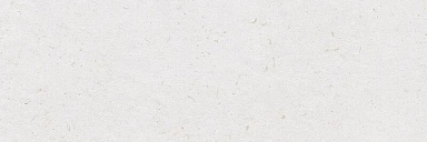 Плитка Ibero R0002307 Botanical Lino Rect. 30x90