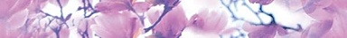 Laparet Бордюр Magnolia B400D297 40х4,5