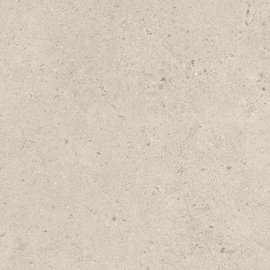 Керамогранит BELLEZA RS 1033 Natural Carving 60x60