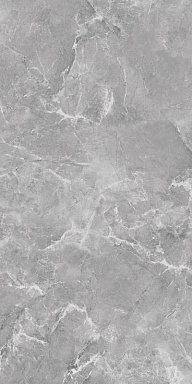 Керамогранит BELLEZA Ambition Grey Glossy 60х120