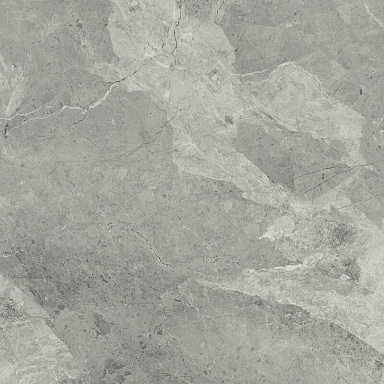 Керамогранит Italon 610010001190 Charme Extra Silver Nat Ret 60x60