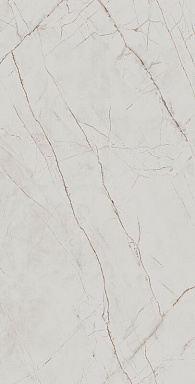 Керамогранит Arcadia Ceramica CR4027-A Valencia Silver Grey Carving 60x120