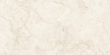 Керамогранит NT Ceramic NTT99523C Stone Almond Endless 60x120