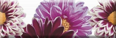 Декор Absolut Keramika Decor Flowers 02 15x45