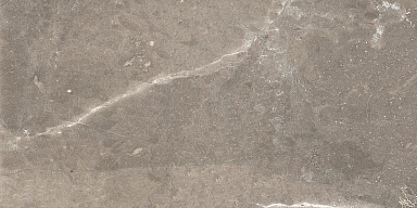 Плитка Global Tile GT122VG Siluet Коричневый 50x25