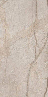 Керамогранит Italon 610010002835 Stellaris Elegant Silver Nat Ret 60x120