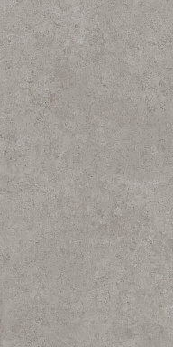 Керамогранит Kerama Marazzi DD590620R Про Лаймстоун АТ серый натуральный обрезной 119,5x238,5x0,9