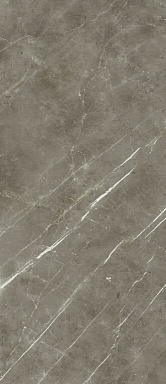 Керамогранит Italon 600180000046 Stellaris Tuscania Grey Nat Ret 120x278