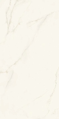 Керамогранит Atlas Concorde Italy AGRJ Calacatta Apuano Silk ST 12 mm 162x324