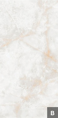 Керамогранит NT Ceramic NTT3019P (B) Li Susu Dragon 120x240