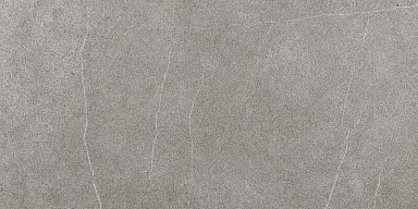 Керамогранит Березакерамика Modus GP grafit 600х300