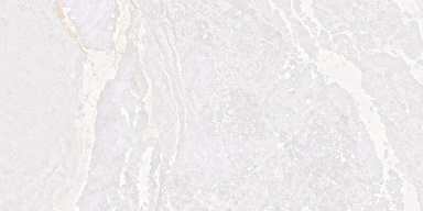 Керамогранит Fanal Planet White N Metal Shine 60x120