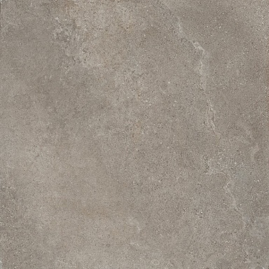 Керамогранит Cerim 784397 Casual Life Iron Matte 120x120