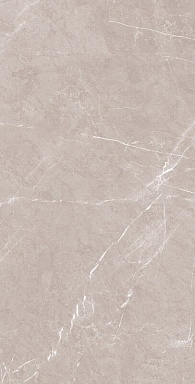 Керамогранит Artcer 1069 Monte Grigio Carv 120x60