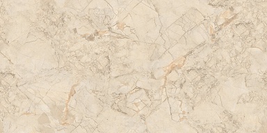 Керамогранит NT Ceramic NTT99515M Ivory Endless 60x120