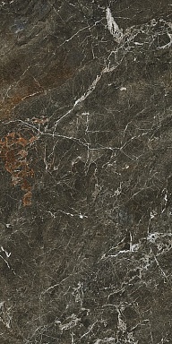 Керамогранит Serenissima Cir St.Laurent Tabac Silk Rett 60x120