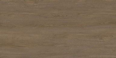 Керамогранит Delacora D120248M Walnut Dark матовый 600x1200x9.5