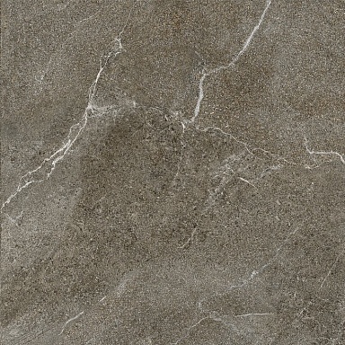 Керамогранит LB-Ceramics 6461-0423 Гроза бежево-коричневый 60х60