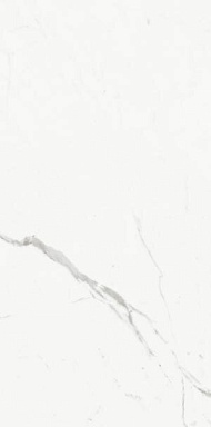 Керамогранит Ariostea PL612516 Marmi Statuario Classico Luc 60х120