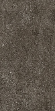Керамогранит Casa Dolce Casa 768328 Sensi Brown Fossil R+PTV Ret 60x120