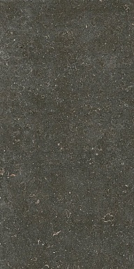 Керамогранит Casa Dolce Casa 785577 Rinascenza Arena Platino Matte 6mm 60x120