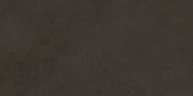 Плитка Laparet 48036R Evolution marron матовый обрезной 40x80