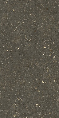 Керамогранит Casa Dolce Casa 785503 Rinascenza Arena Platino Grip 30x60