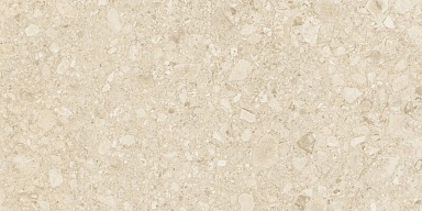 Керамогранит Duna Ceppo Di Clay GHR 60x120