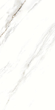 Керамогранит Artcer 893 Fantastic White 120x60