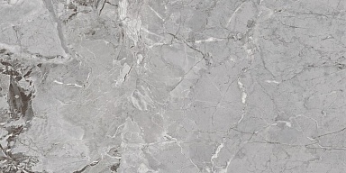 Керамогранит Ocean-Ceramic Wixon Grey Shiny Sugar 60x120