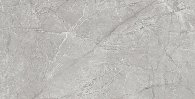 Керамогранит Alpas Euro Kera Radisson Grey Matt 60x120