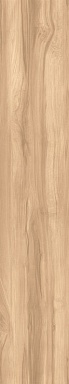 Керамогранит Creanza CW-RT09-B Fossil Wood Brich Rustic 20x120