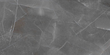 Керамогранит BIEN SERAMIK BIEN0017 Turin Grey Rec Full Lap 600x1200x9