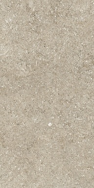 Керамогранит Casa Dolce Casa 768338 Sensi Ivory Fossil R+PTV Ret 40x80