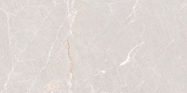 Керамогранит Neodom N20552 Persian Grey Matt 60x120