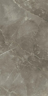 Керамогранит Italon 610010002843 Stellaris Tuscania Grey Nat Ret 80x160